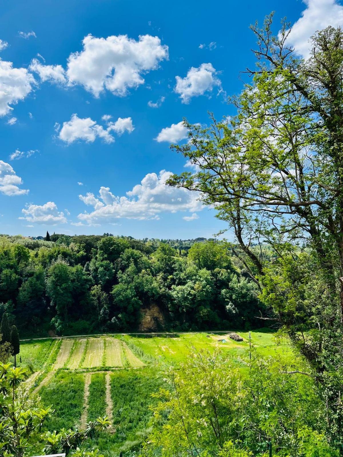 Vila Ciliegia Di Lari - Attico Exteriér fotografie